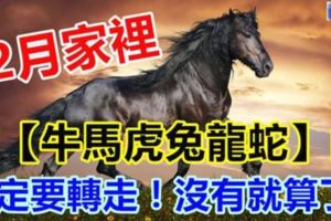 12月份家裡有【牛馬虎兔龍蛇】的人，一定要轉走！沒有就算了。