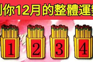 選一個你喜歡的簽筒，測測你12月的整體運勢！