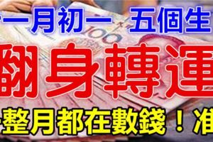 農歷十一月初一，這五個生肖翻身大轉運！一整月都在數錢，錢註定花不完！