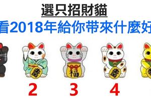 選只招財貓，看看2018年給你帶來什麼好運？超准！