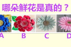 哪朵鮮花是真的？測出你未來8天會有啥好運？