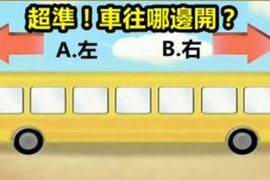 超準！車到底往哪邊開？測你在人們眼中的樣子！