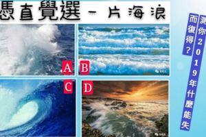 憑直覺選一片海浪，測你2019年什麼能失而復得？