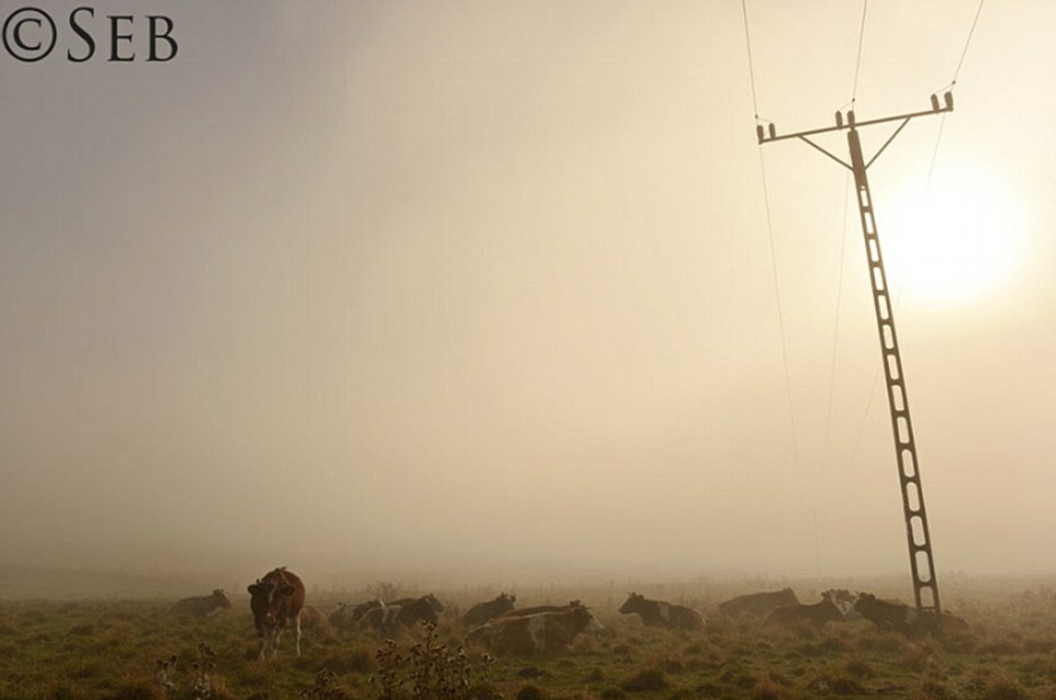 It's hard to argue with the quiet beauty of this shot, taken by Mr Luczywo on a misty morning