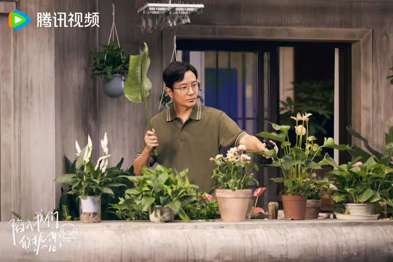 《陷入我們的熱戀》線上看12亮點！劉浩存撩爆冷峻男神王安宇