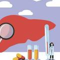 轉氨酶升高是肝炎嗎？是不是數值越高病情越嚴重？