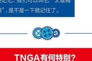 豐田TNGA：看清我不是平台是架構