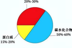 蛋白質缺乏會有哪些症狀？有營養的食品沒少吃，為啥還是補不上？