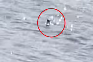 傳說是真的？尼斯湖水怪「露頭遊湖」最新畫面曝光　遊客目擊全嚇傻