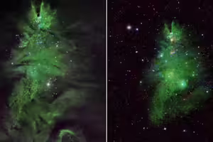 宇宙驚現「聖誕樹」！NASA曬絕美「聖誕樹星團」天文迷瘋傳