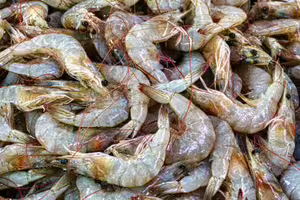 果然是90多年好盟友！台灣成為「1國家」海鮮、咖啡大買家