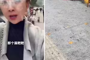 屎淋全身!女遊客遭「天外飛來一坨」擊中臭到吐 6旬翁被逮捕了 屎淋全身!女遊客遭「天外飛來一坨」擊中臭到吐 6旬翁被逮捕了