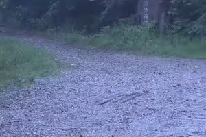 轎車詭停公園！車窗全被封死　警破窗見「母抱嬰雙亡」