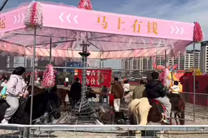 中國驚現「旋轉真馬」 網全怒!景區回應了 中國驚現「旋轉真馬」 網全怒!景區回應了