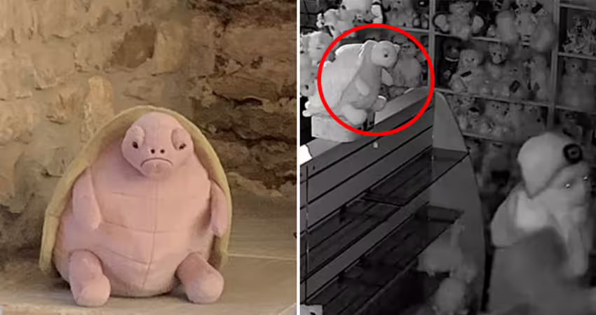 300隻Jellycat娃娃被搶　「剩烏龜沒被偷」臭臉目睹一切