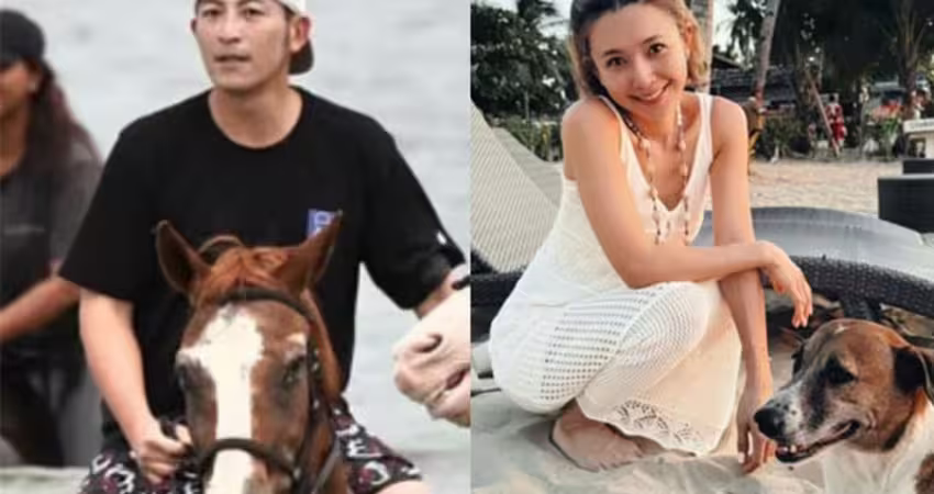 獨家》吳婉君被家暴又爆神復合！趙駿亞本人低調回應了