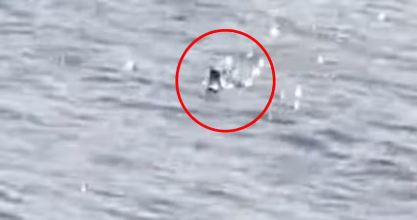 傳說是真的？尼斯湖水怪「露頭遊湖」最新畫面曝光　遊客目擊全嚇傻