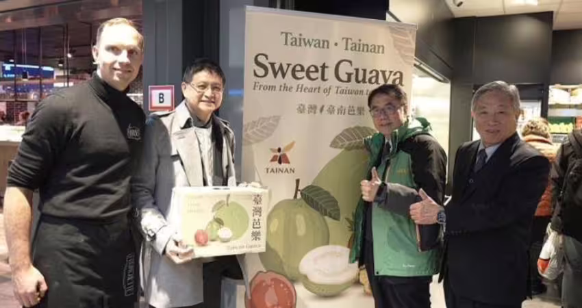 「這國」最愛吃台灣芭樂！1年狂買1.5億　外銷占比逾7成