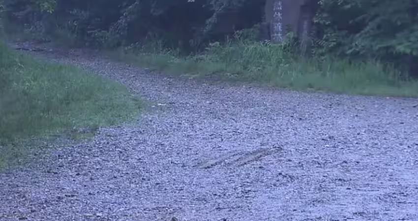 轎車詭停公園！車窗全被封死　警破窗見「母抱嬰雙亡」