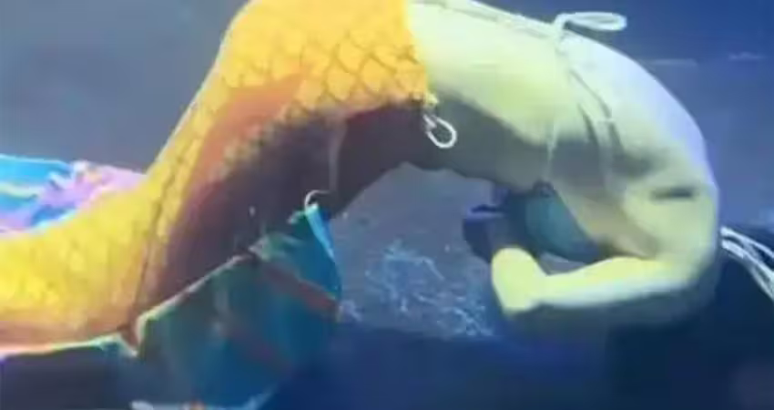 「美人魚」演員水下昏迷　臉朝下沉底抽搐