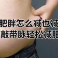 腹部肥胖怎麼減也減不了敲敲帶脈輕松減肥