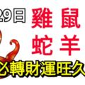 5月29日！生肖雞、鼠、猴​、蛇、羊、虎！財運旺久久！