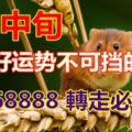 6月中旬橫財好運勢不可擋的生肖168888轉走必發