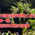 中醫介紹的治療痔瘡土方法，每天喝一碗，殺菌消炎早日排出宿便