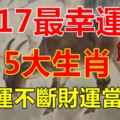 2017最幸運的5大生肖，好運不斷財運當頭！