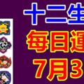 十二生肖每日運勢7月3日