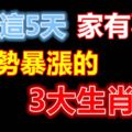 過了這5天，家有喜事，運勢暴漲的3大生肖！