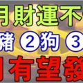 7月財運不佳，8月有望發財的生肖豬狗鼠