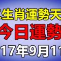 十二生肖運勢天天看，明日運勢：9月11日