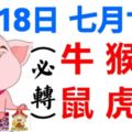 9月18日（農曆七月廿八），生肖牛、猴、龍、鼠、虎、豬！好運旺到底！