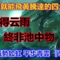 平時低調，機會一到就能飛黃騰達，大展鴻圖的四大生肖，打開氣勢如虹平步青雲『51798』