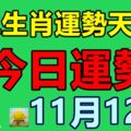 十二生肖運勢天天看，今日運勢：11月12日