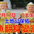 12月12日，土地公保佑，註定大發一筆橫財，鈔票堆成山，鹹魚翻身變富豪的5生肖