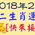 2018年2月十二生肖運程鼠牛虎兔龍馬羊雞狗【快來接福】