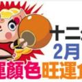 十二生肖：綜合運勢+旺運食物+幸運顏色|2月5日(一)