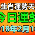 十二生肖運勢天天看，今日運勢：2018年2月10日