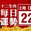 2月22號(四)12生肖運勢+指數