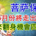 5月份將走出逆境，迎來翻身機會的生肖