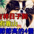 5月吉祥日子到，背後有靠山，財運節節高的4個生肖