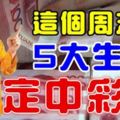 這個周末，5大生肖必定中彩票，轉走發發發！