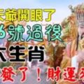 老天開眼了！4個生肖8月6號過後，財運來了，終於發啦！