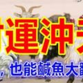 9月財運沖天的5生肖，之前再窮，也能鹹魚大翻身！