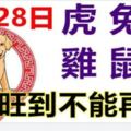 9月28日生肖運勢_虎、兔、羊大吉