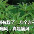 痛風者有救了，這幾個方子輕松穩住痛風，真是痛風「剋星」