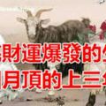 年底財運爆發四大生肖