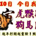 11月10日，今日我最旺！虎猴雞羊狗馬鼠牛！【98988】越早打開越靈驗！點個贊吧！